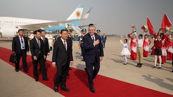 Alberto Fernández participará junto a