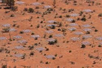 El equipo observó el cielo