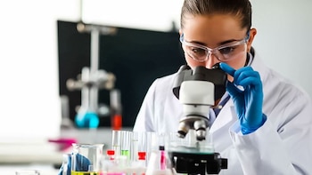 Lanzan las nuevas convocatorias para