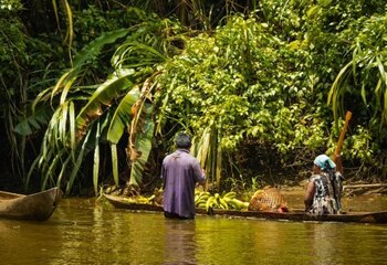 Etnoaldea Kipara Té