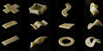 La academia propone que si