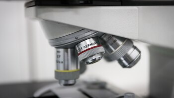 Identifican variantes genéticas que protegen