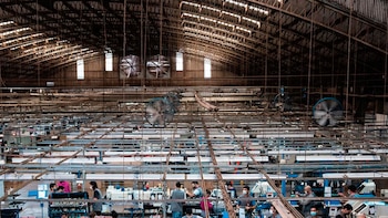 El fabricante de Nike y Adidas cierra su última planta en la Argentina y despide a sus 150 trabajadores