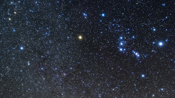 Betelgeuse es una supergigante roja que podría estallar en supernova en un futuro lejano. (Shutterstock.com)