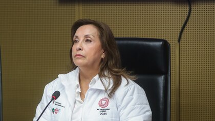 Dina Boluarte acumula cinco meses sin trabajo desde que asumió su mandato, según su agenda oficial