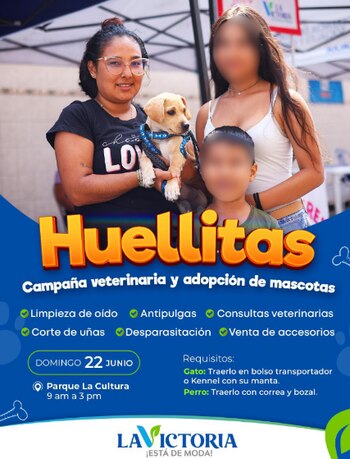 Los interesados deben acudir con