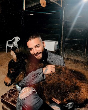 Maluma y su burra Juanita