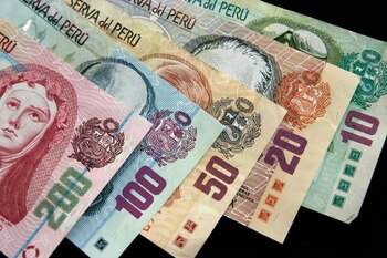 El servicio incluirá apoyo experto