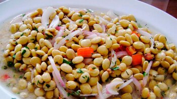 Una excelente opción para reemplazar