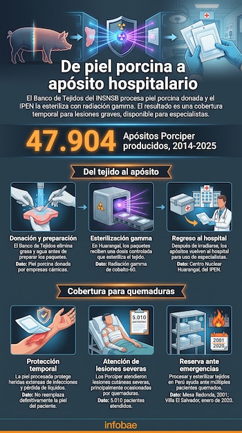 Infografía explicativa con esquemas del proceso de elaboración de apósitos de piel porcina, datos estadísticos e ilustraciones médicas.