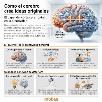 Infografía detallada mostrando un cerebro humano con secciones resaltadas, ilustraciones de redes neuronales, un puente y personas en diversas actividades creativas.