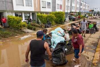 Factores como el acceso a