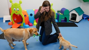 La infanta Sofía sustituye a