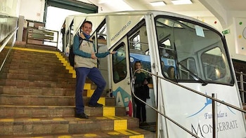 Los perros pueden subir solo