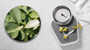 La eficaz hierba que sirve