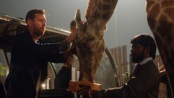 Las impactantes fotos de la