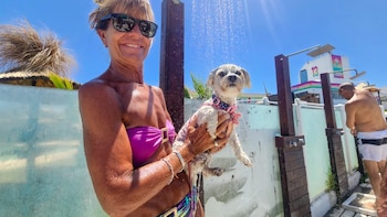 Playa Pet Friendly Mogotes