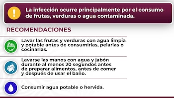 El secretario de Salud dio a conocer que hasta el 31 de julio, en México se han registrado 33 casos de ciclosporiasis.