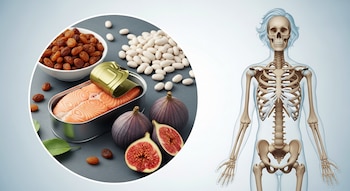 Ilustración médica con un esqueleto humano a la derecha y un círculo con salmón enlatado, frijoles blancos, pasas e higos frescos y secos a la izquierda.