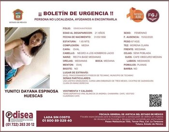 Ficha de búsqueda de Yunitci