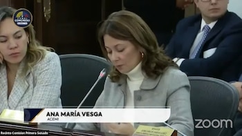 Ana María Vesga, directora de