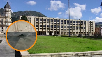 Se hizo viral video de una rata paseando por los pasillos del Congreso de Colombia: “¿Visita inesperada o congresista desubicado?”