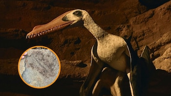 Hallan más de un centenar