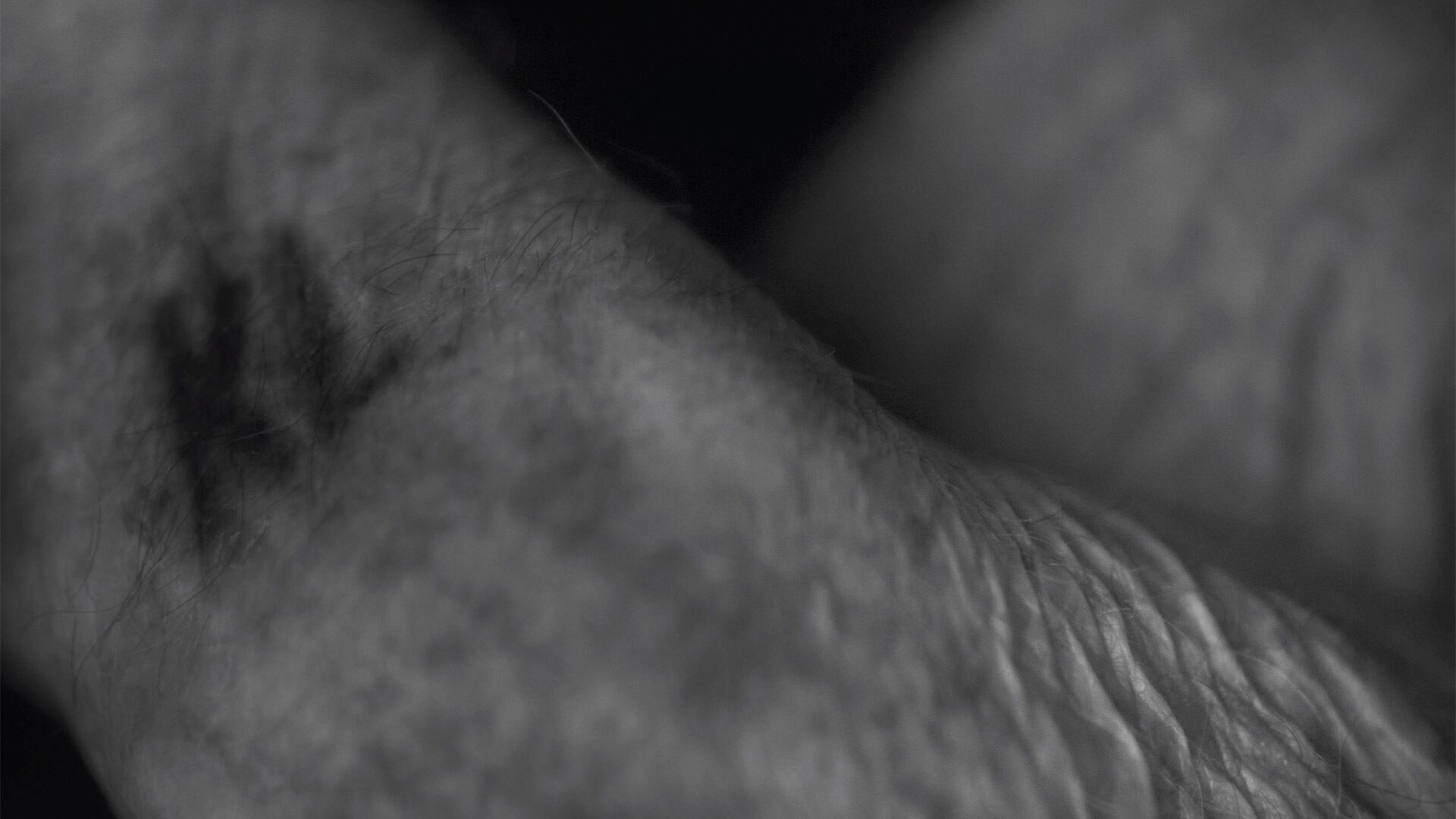 Durante la guerra, los nazis utilizaron distintos tatuajes en los campos de concentración. El tatuaje “KL“ en el brazo de Francisco significa campo de concentración en alemán. Francisco mostraba su tatuaje sin problema a quien se lo pidiera. “Recuerdo lo difícil que fue hacer este retrato. Tenía poca experiencia en ese entonces, hicimos tres sesiones en diferentes días, cada vez probaba algo diferente. Mi profesor me prestó un lente especial para que el tatuaje y la piel pueda sobresalir. Francisco en cada sesión se sentaba en la silla, yo abría la cortina y pasábamos horas allí. Recuerdo su paciencia y la presión que sentía”, cuenta Druscovich ( Buenos Aires, 2012)