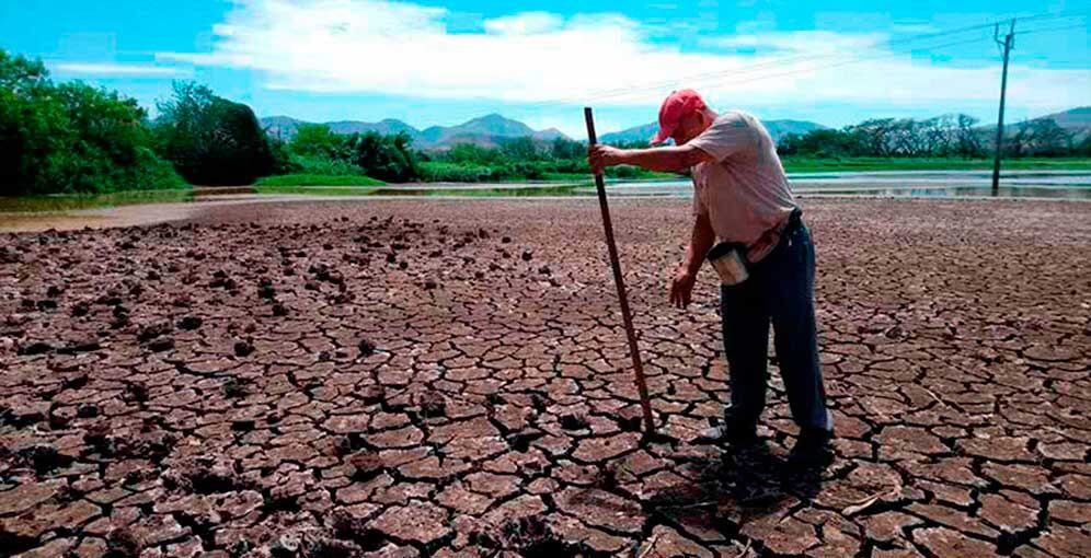 Productores esperan la aprobación de un decreto que permita acceso a crédito y seguro agrícola subsidiado. (Foto: Archivo)