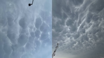 Decenas de personas se juntaron