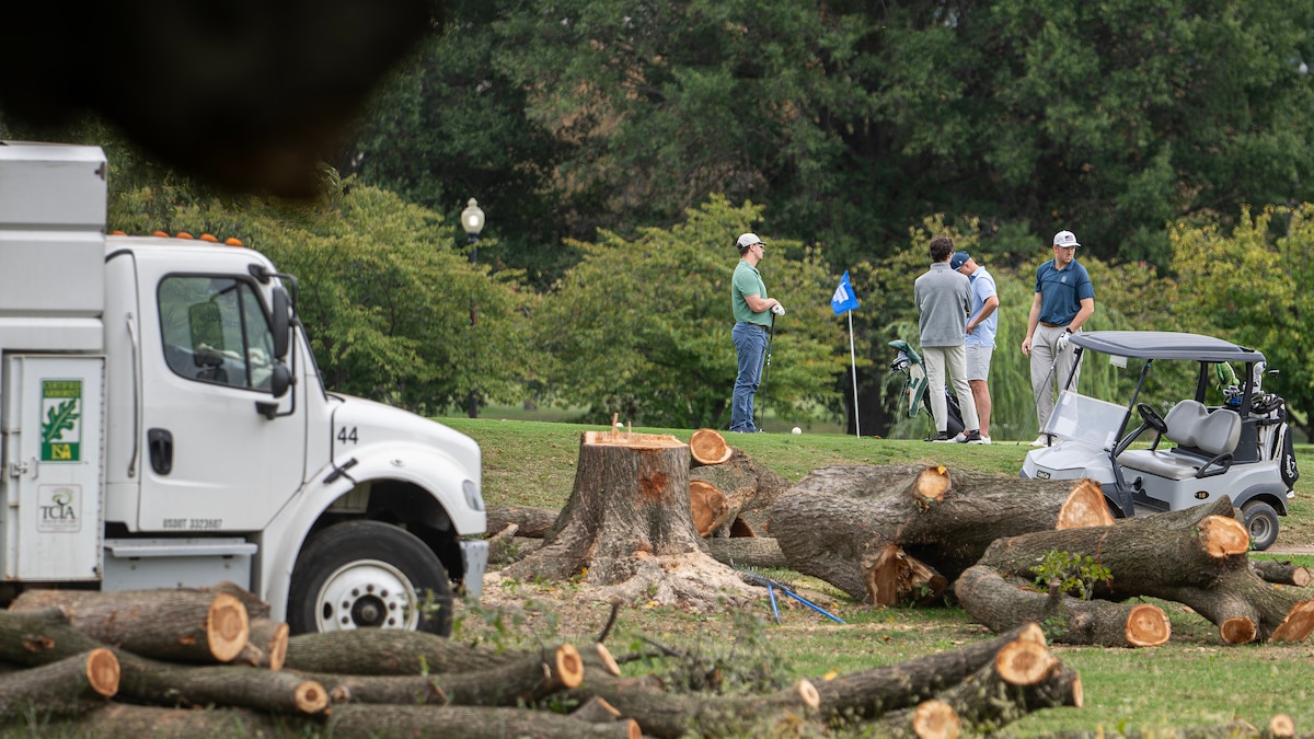 Imagen de la noticia: Una jueza federal suspende las obras y la tala de árboles en el campo de golf de Washington D.C. hasta el 26 de octubre
