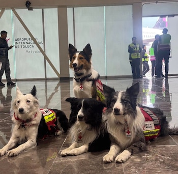 La Secretaría de Relaciones Exteriores informa que, en estrecha colaboración con Cruz Roja Mexicana Sede Nacional y Volaris, esta tarde partió rumbo a Venezuela un equipo de apoyo integrado por 25 especialistas de la Unidad de Búsqueda y Rescate Urbano (USAR) de la Cruz Roja; y de la Brigada de Rescate Internacional Cancún (USAR BRIC), así como un elemento de brigada de los Topos Azteca.
