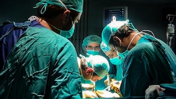 De los 48 días para un corazón hasta los 193 días para páncreas: así funcionan las listas de espera de los trasplantes en España