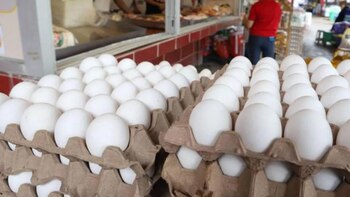 Gobierno de Honduras investiga alzas en el precio del cartón de huevos y advierte multas de hasta 10 mil salarios mínimos