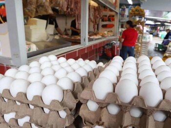 El precio del huevo también se ha mantenido estable en las últimas semanas, según datos del SISAP.