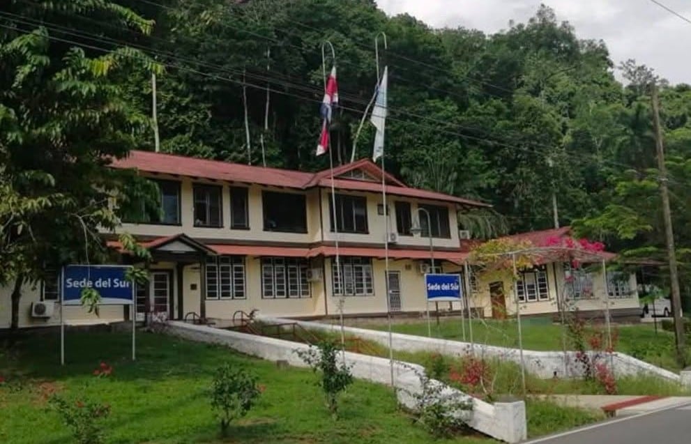 El diagnóstico de inglés de la UCR indicó que los egresados comprenden mejor el idioma en listening y reading que en producción oral y escrita./ (Redes Universidad de Costa Rica)