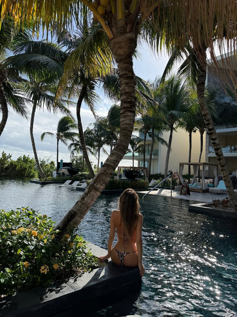 DIV6D3VQENDRJISXTK4EAOCCPM