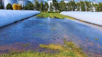 El Niño pone a prueba las silobolsas: las claves para evitar pérdidas durante las lluvias
