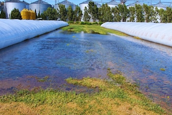 Silobolsas en el agua