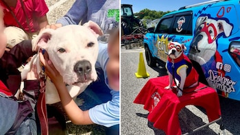 Cole es amado por todos