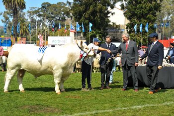 El presidente de la Asociación
