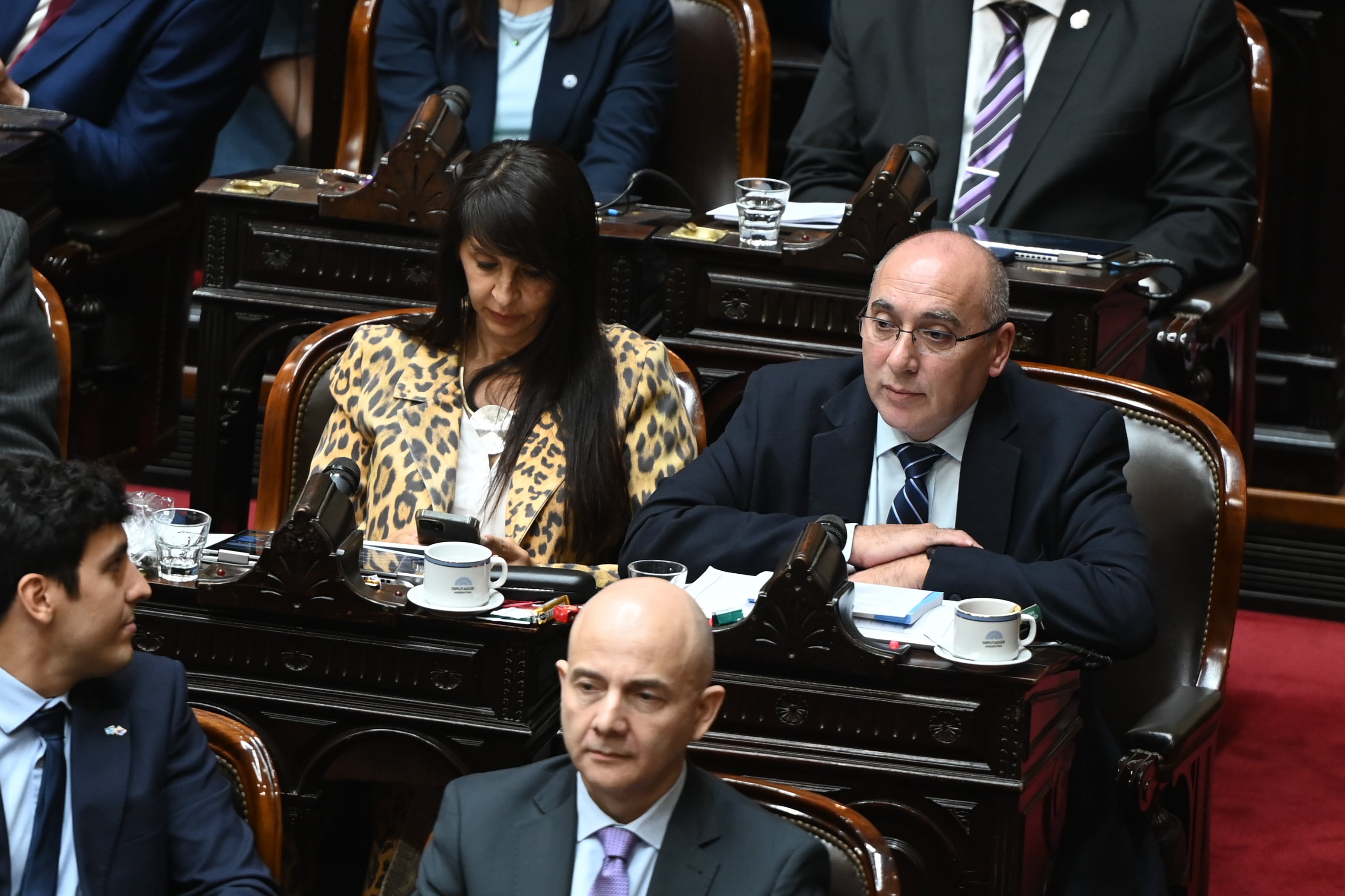 José Peluc abrió el debate sobre la reforma de la Ley de Glaciares (RS Fotos)