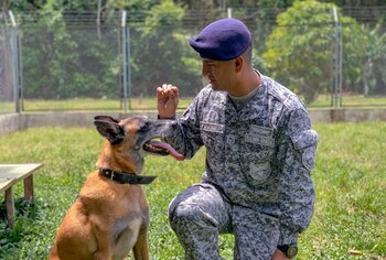 Especie canina que se caracteriza