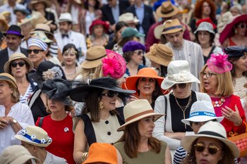 Cientos de personas han participado