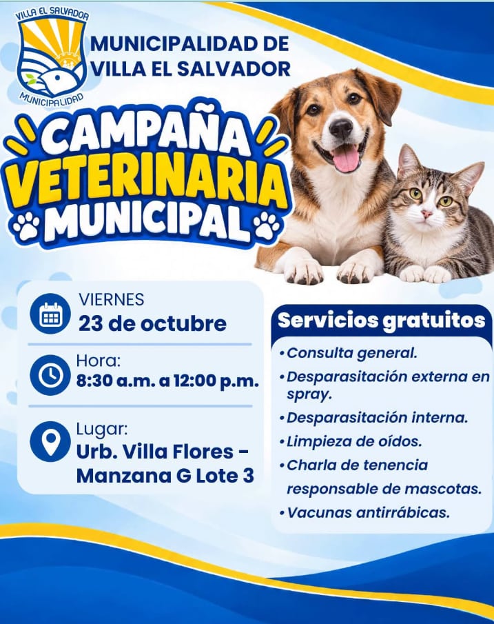 La jornada se desarrollará de 8:30 a. m. a 12:00 p. m. en la urbanización Villa Flores, manzana G, lote 3, en Villa El Salvador - Créditos: Municipalidad de Villa El Salvador.