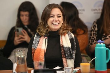 La diputada kirchnerista Vanesa Siley