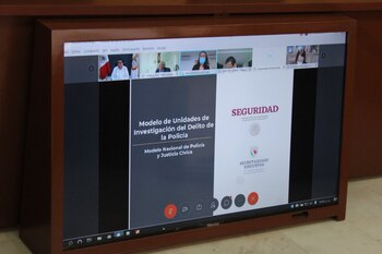 En la reunión virtual participaron