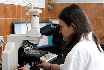 La doctoranda Marina Ponce, una de las autoras principales de la investigación.