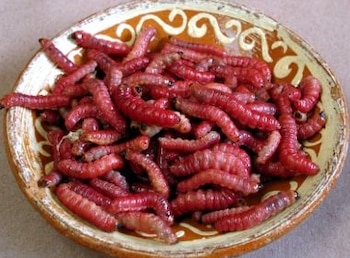 Aproximadamente el 60% de su