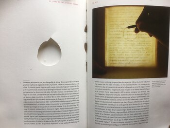 Agenda 11 al 18 de noviembre